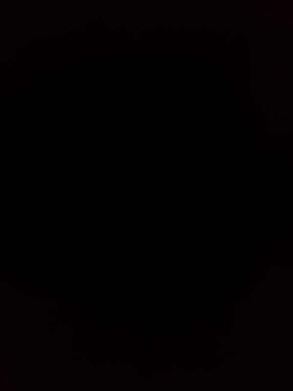 Елена фото 2