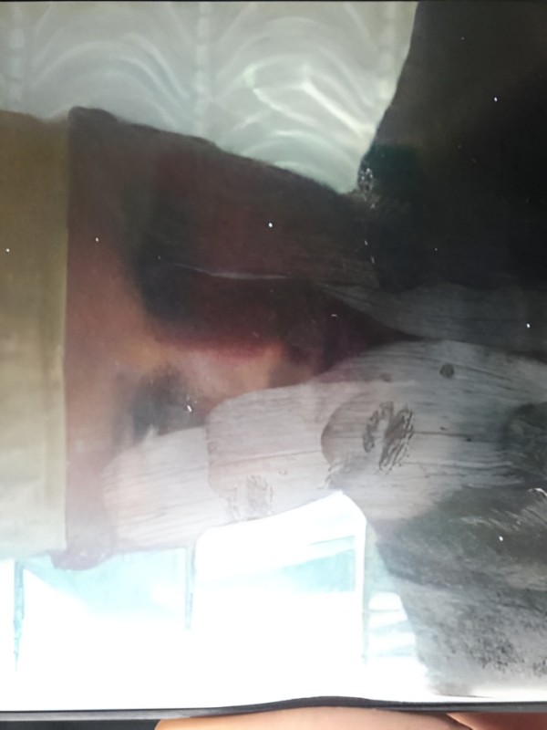 Тамара привлекательная девушка из Саяногорск цена от 4000 руб